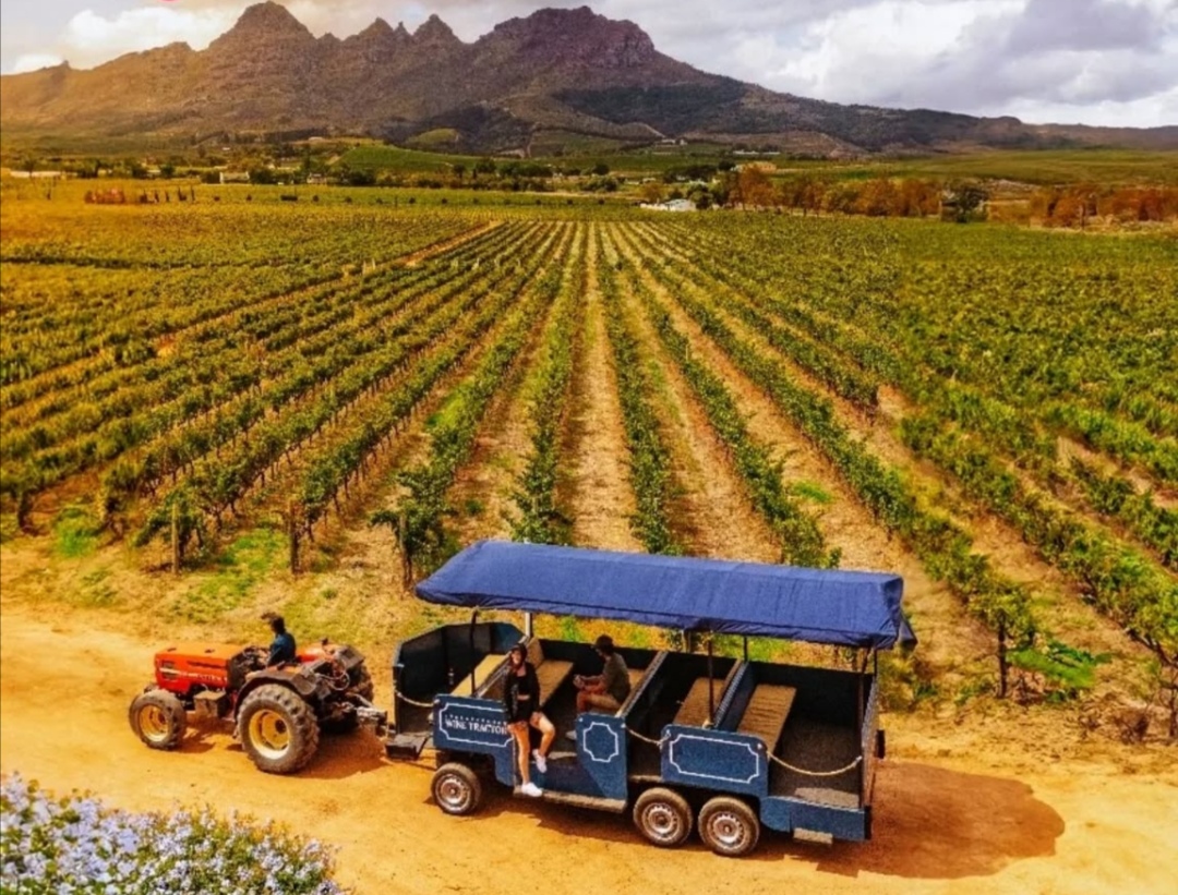 Stellenbosch Wine Tractor: Reinventing the Winelands Experience, One Ride at a Time.
